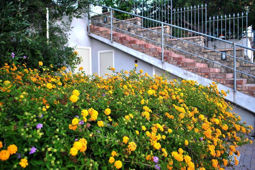 Appartamenti Ischia La Sentinella Casamicciola Terme Exterior foto